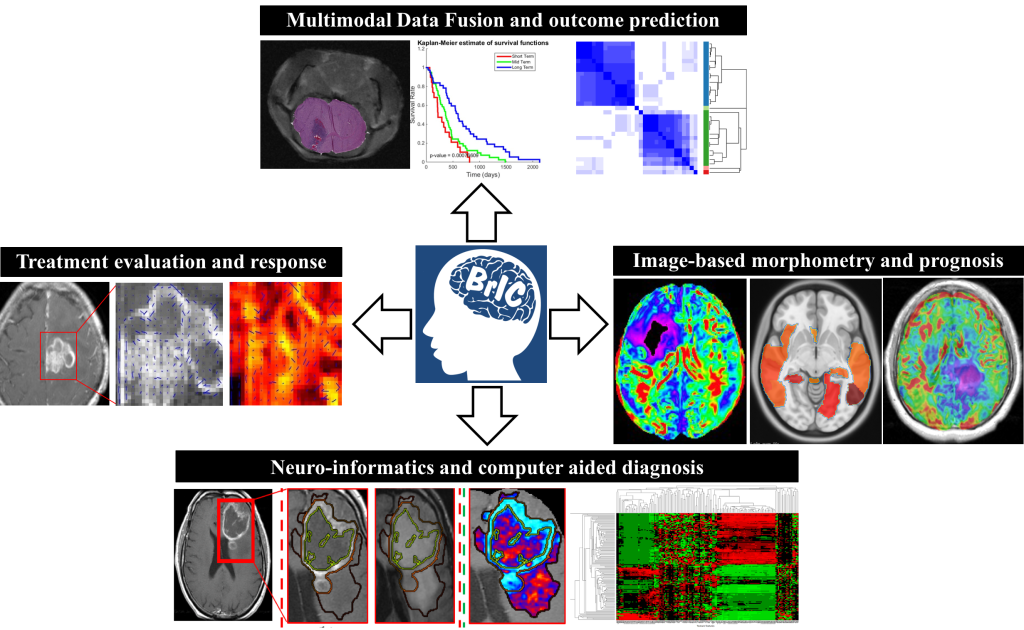 BrIC logo with images representing multimodal data fusion and outcome prediction, image-based morphometry and prognosis, neuro-informatics and computer aided diagnosis, and treatment evaluation and response.